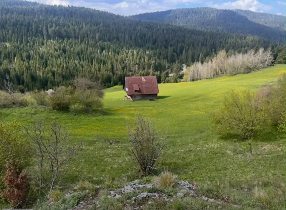 A small hut in a green meadow with mountains behind